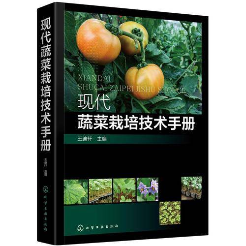 现代蔬菜栽培技术手册