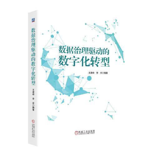 数据治理驱动的数字化转型 王建峰 辛华