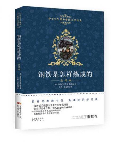 钢铁是怎样炼成的（全译本）