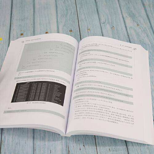 软件安全：漏洞利用及渗透测试