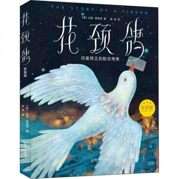 花颈鸽彩图版
