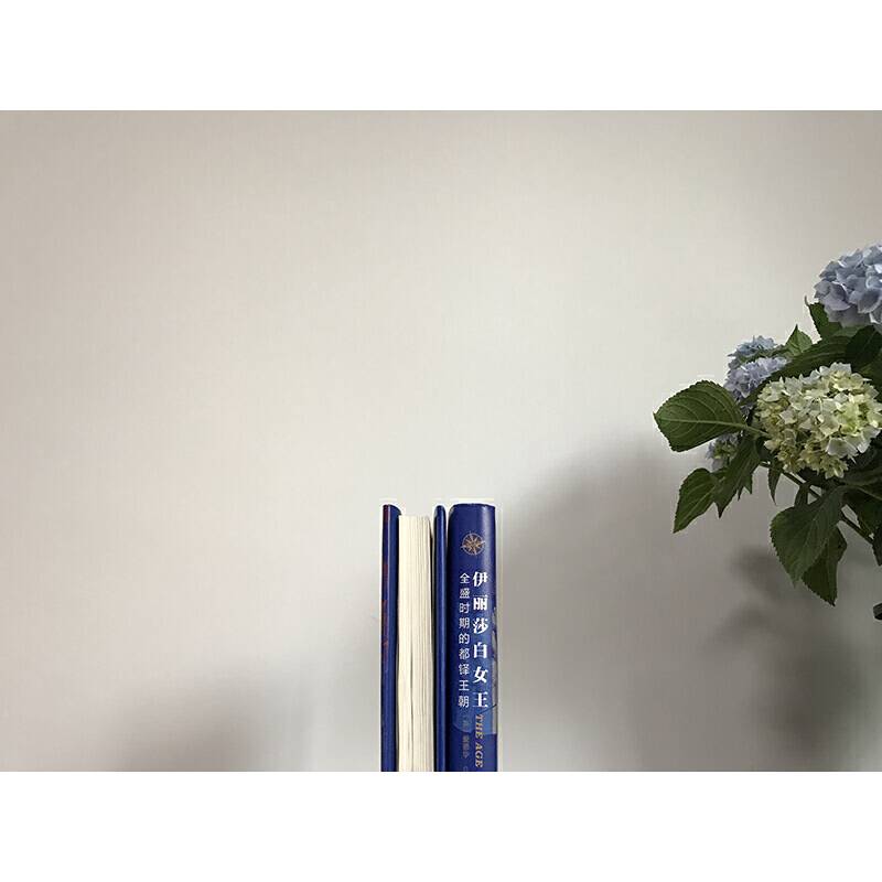 伊丽莎白女王：全盛时期的都铎王朝