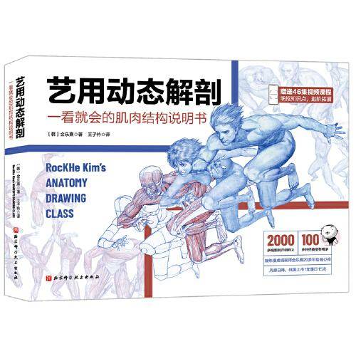 艺用动态解剖