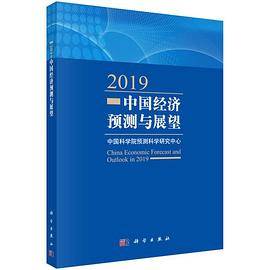 2019中国经济预测与展望