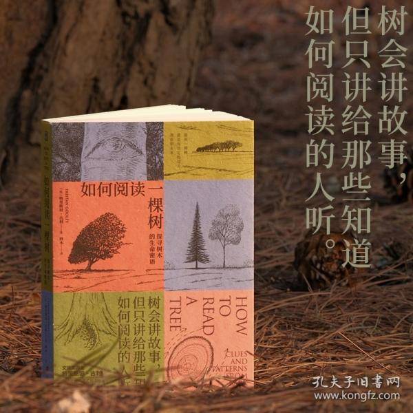 如何阅读一棵树