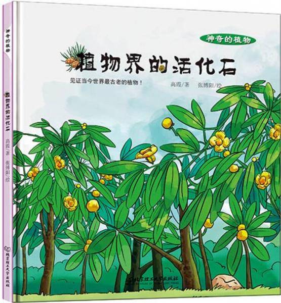 神奇的植物