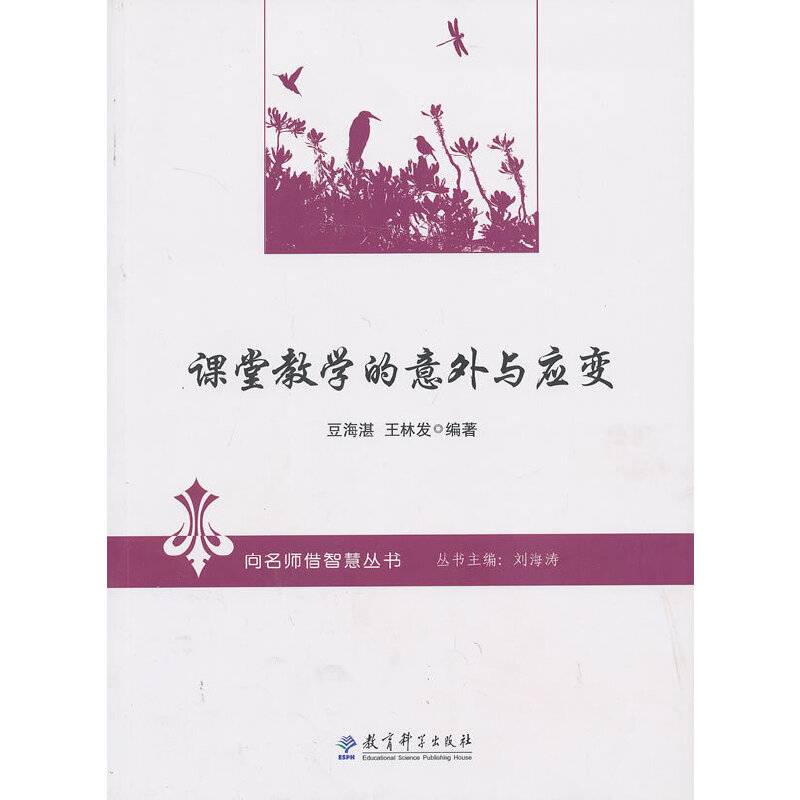 向名师借智慧丛书