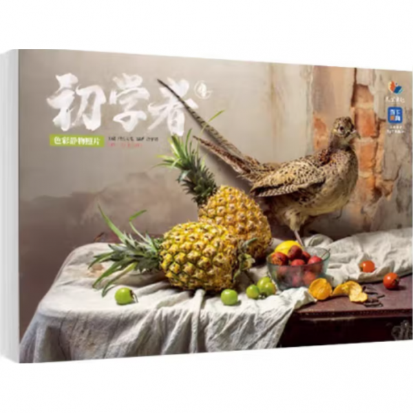 初学者.4色彩静物照片