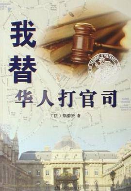 我替华人打官司