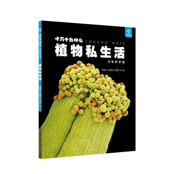童声回响 : 建国60年来优秀少儿歌曲精选