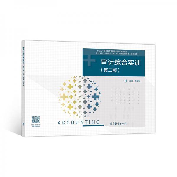 审计综合实训（第二版）