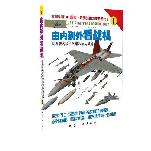 由内到外看战机