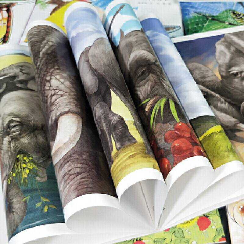 儿童自然博物馆  盒装40册