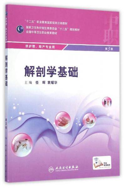 解剖学基础