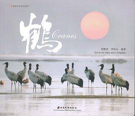 鹤