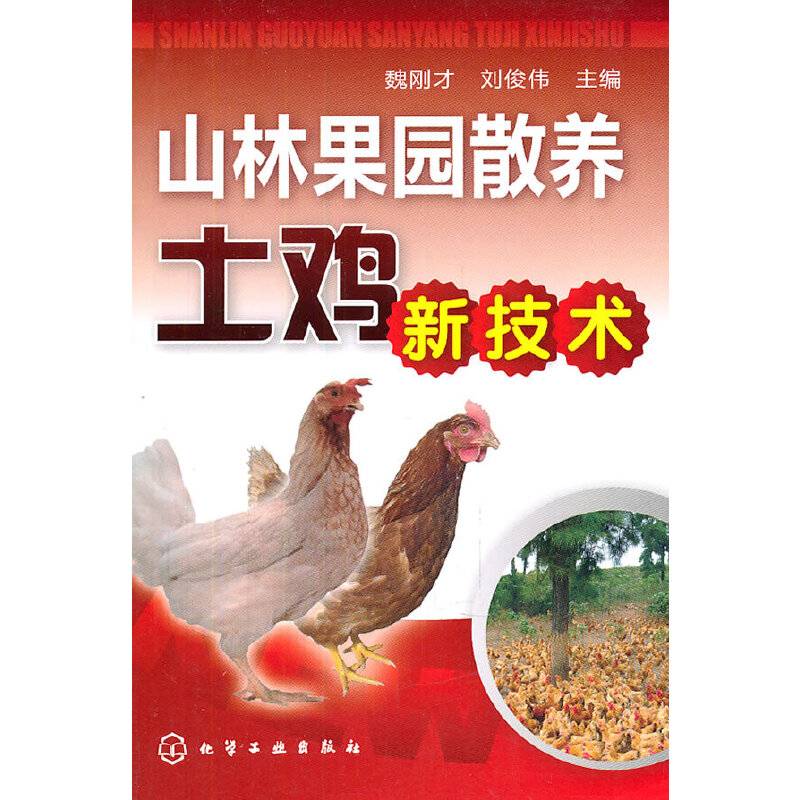 山林果园散养土鸡新技术