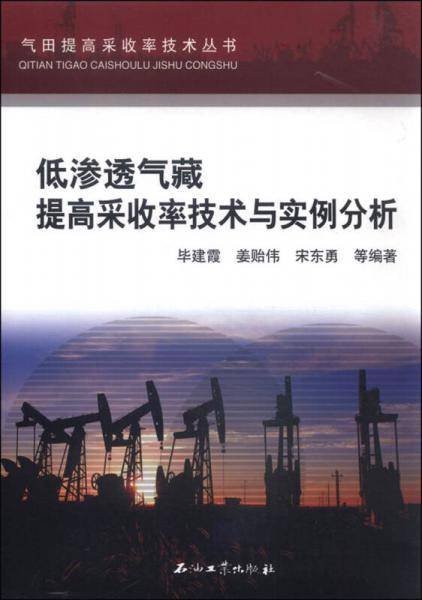 气田提高采收率技术丛书：低渗透气藏提高采收率技术与实例分析