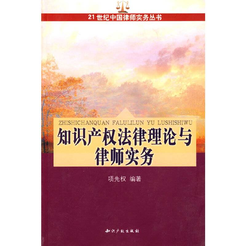 知识产权法律理论与律师实务