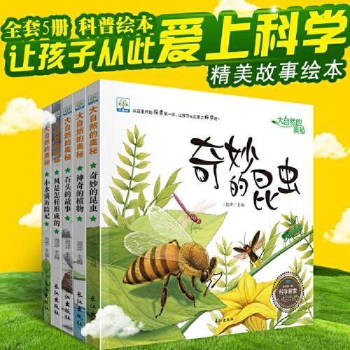 石头的故事