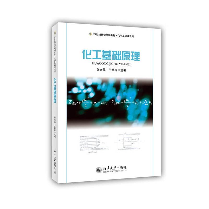化工基础原理/21世纪化学精编教材・化学基础课系列