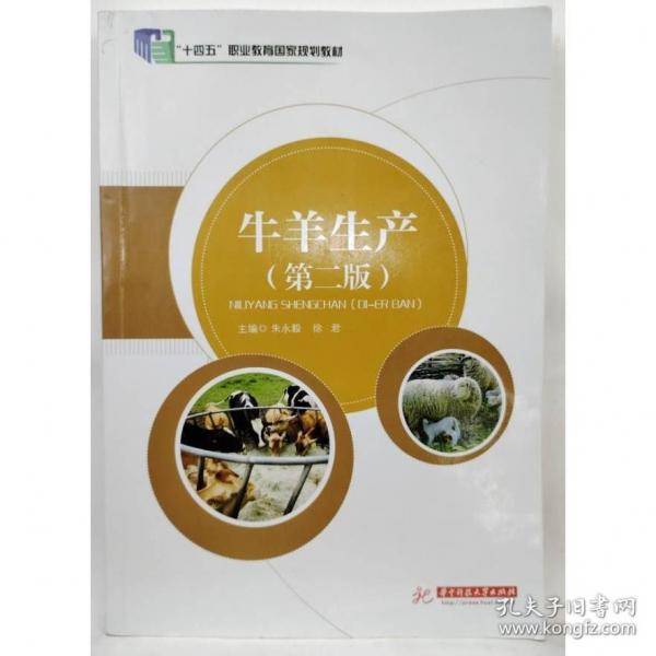 牛羊生产