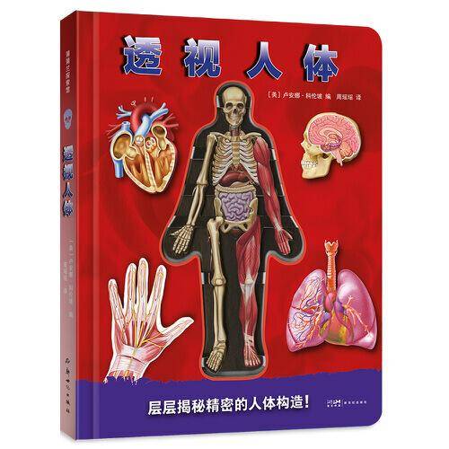 透视人体（层层揭秘精密的人体构造）