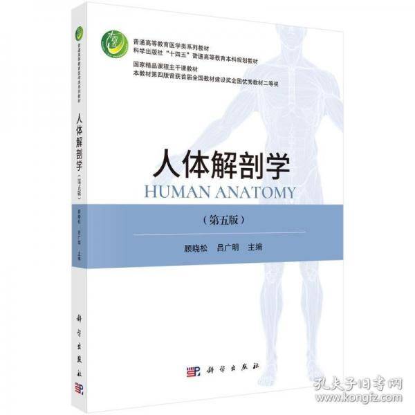 人体解剖学