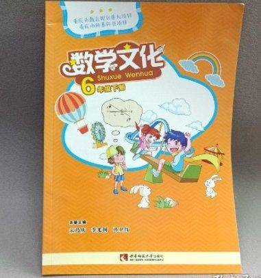 数学文化. 六年级. 下册