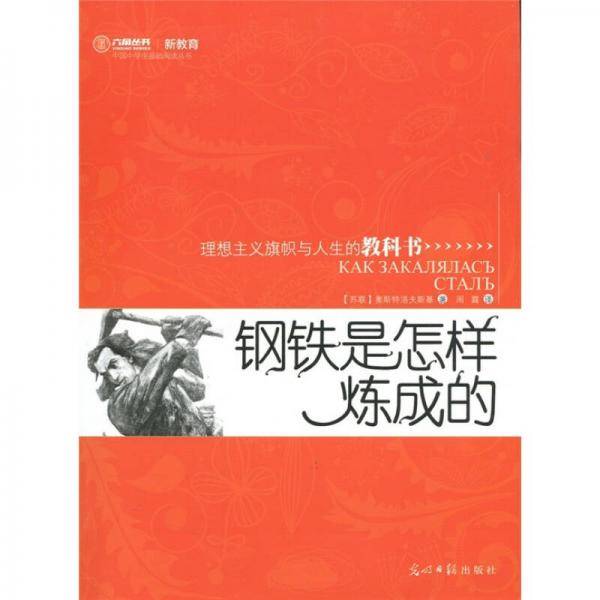 钢铁是怎样炼成的