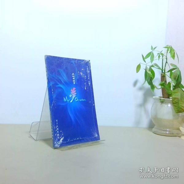 走进我的梦