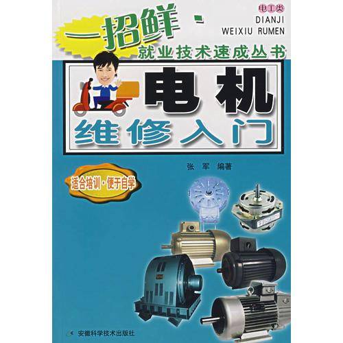 电机维修入门——一招鲜·就业技术速成丛书
