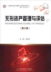 无形资产管理与评估（第三版）