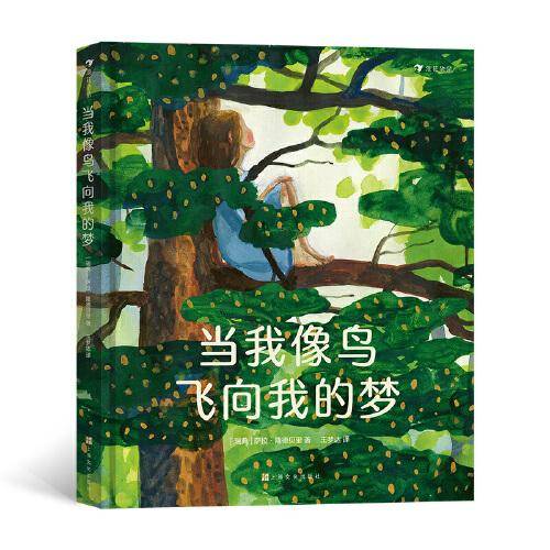 当我像鸟飞向我的梦  一本触动你心灵影响你人生的书