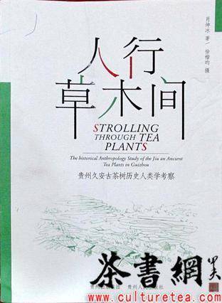人行草木间