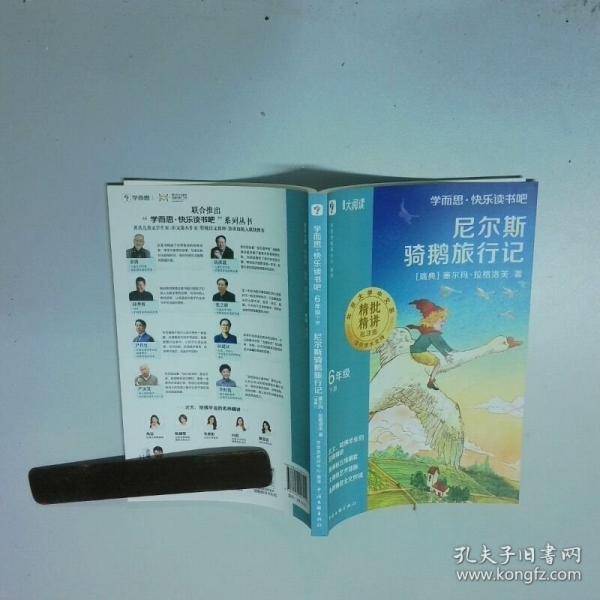 尼尔斯骑鹅旅行记
