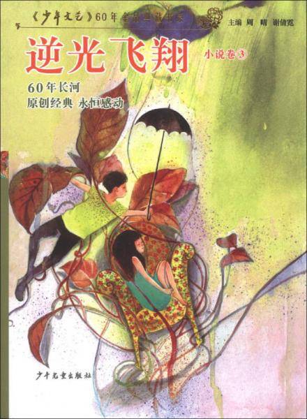 逆光飞翔