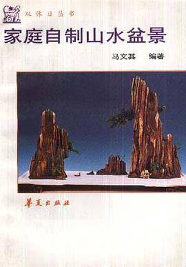 家庭自制山水盆景