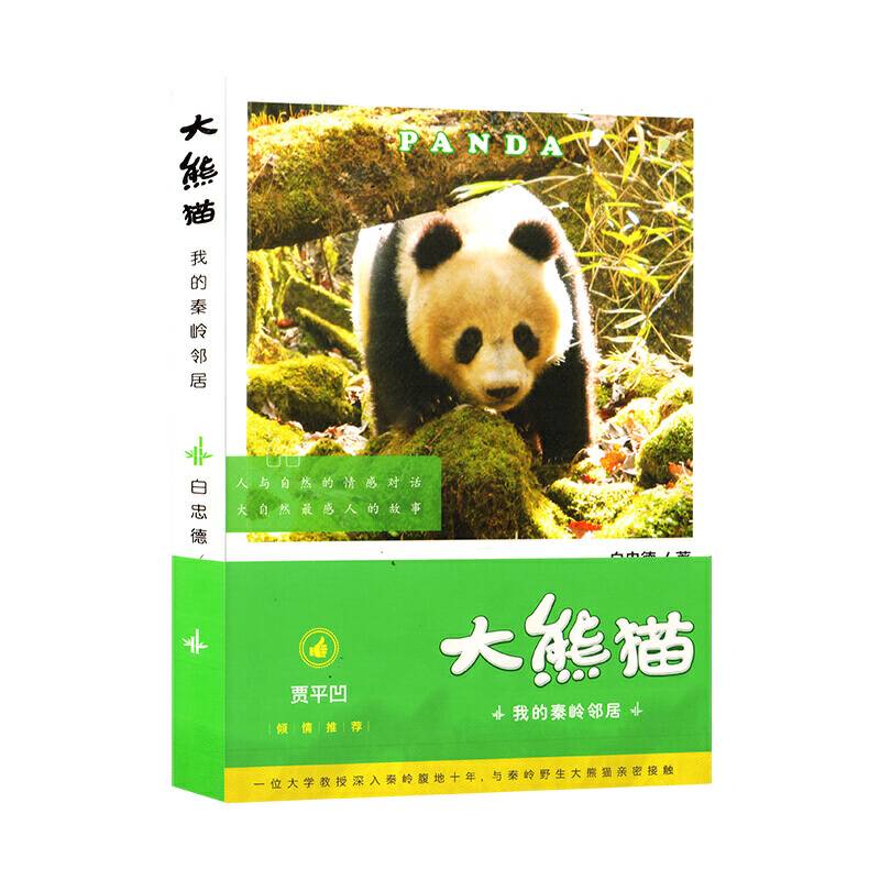 大熊猫―我的秦岭邻居
