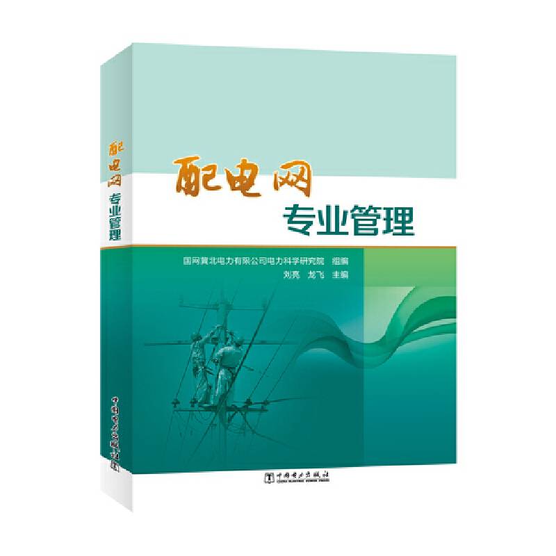 配电网专业管理
