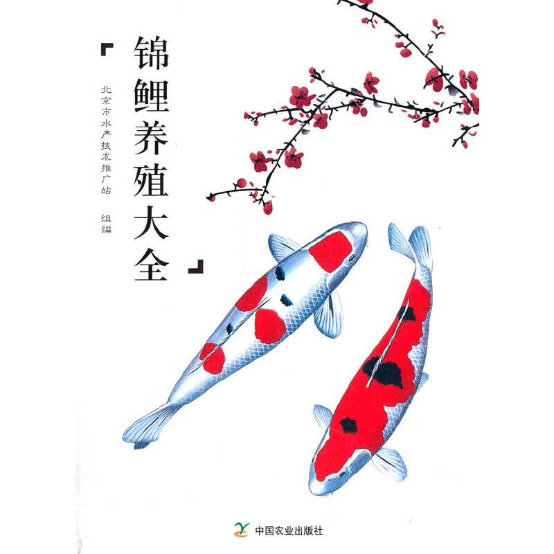 锦鲤养殖大全