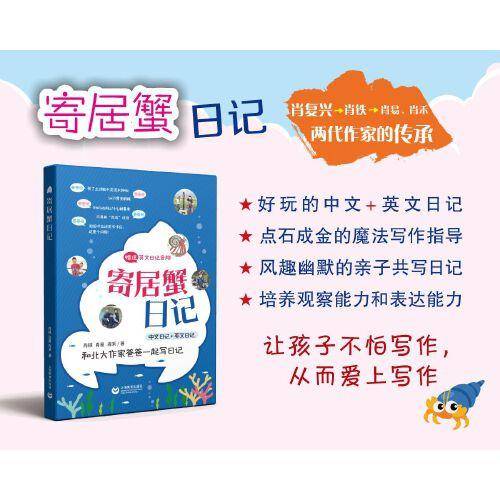 寄居蟹日记