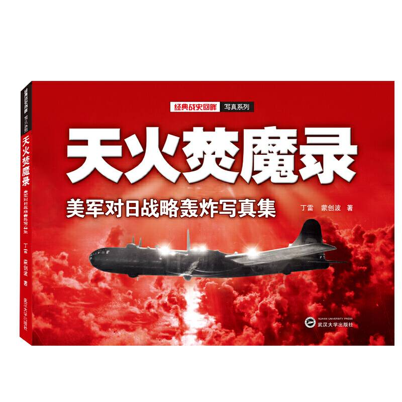 天火焚魔录