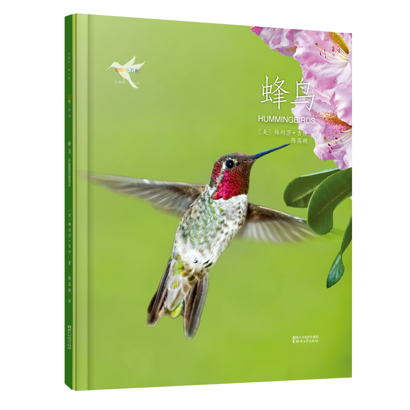 动物小百科：蜂鸟