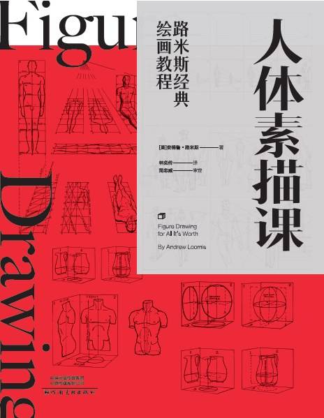 路米斯经典绘画教程-人体素描课
