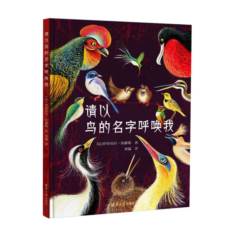 请以鸟的名字呼唤我（画风稀缺美，鸟的博物馆，文字有趣充满爱）