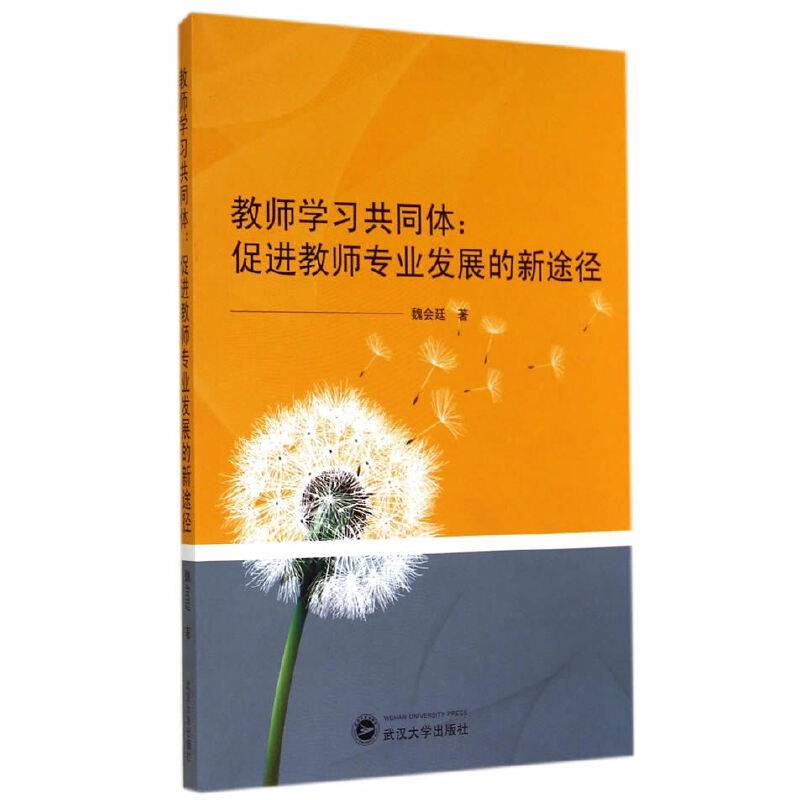 教师学习共同体：促进教师专业发展的新途径