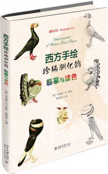 西方手绘珍稀驯化鸽
