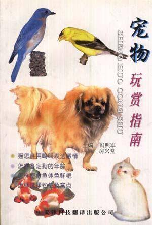 宠物玩赏与养护