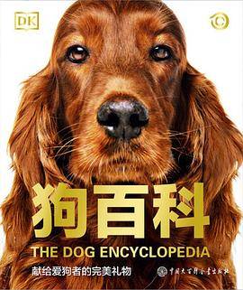 DK狗百科