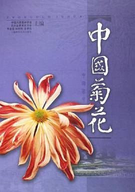 中国菊花